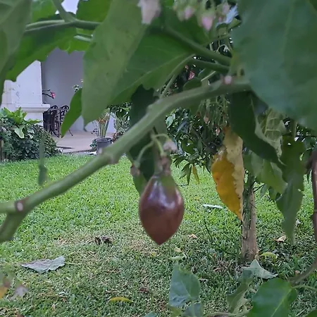 Casa Rural Talharezes