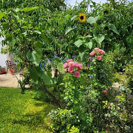 Ferienhaus Casa Rural Talharezes